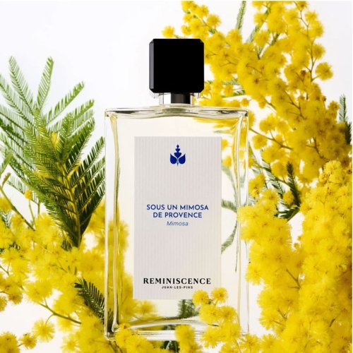 REMINISCENCE PARFUM-Sous un mimosa de Provence - Eau de REMINISCENCE PARFUM-Sous un mimosa de Provence - Eau de